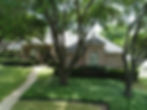 Tree Infront of Home