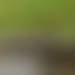 Why Some Gutters Fail Prematurely and How to Avoid Costly Repairs