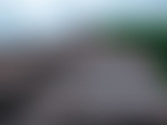 Understanding How Weather in Hamburg Impacts Roof Lifespan: Key Factors to Consider