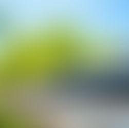 Gutters with green trees in background.