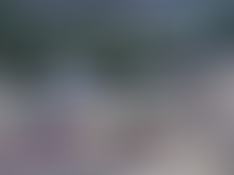 ¿Cómo evitar que tu mercancía quede atrapada en la aduana?