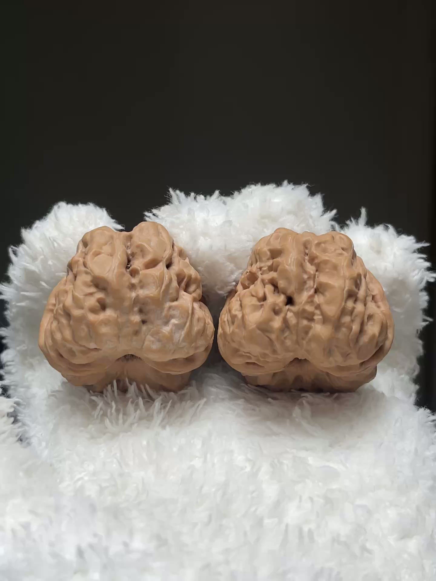 S- Grade • Frogstone Walnuts • 41mm