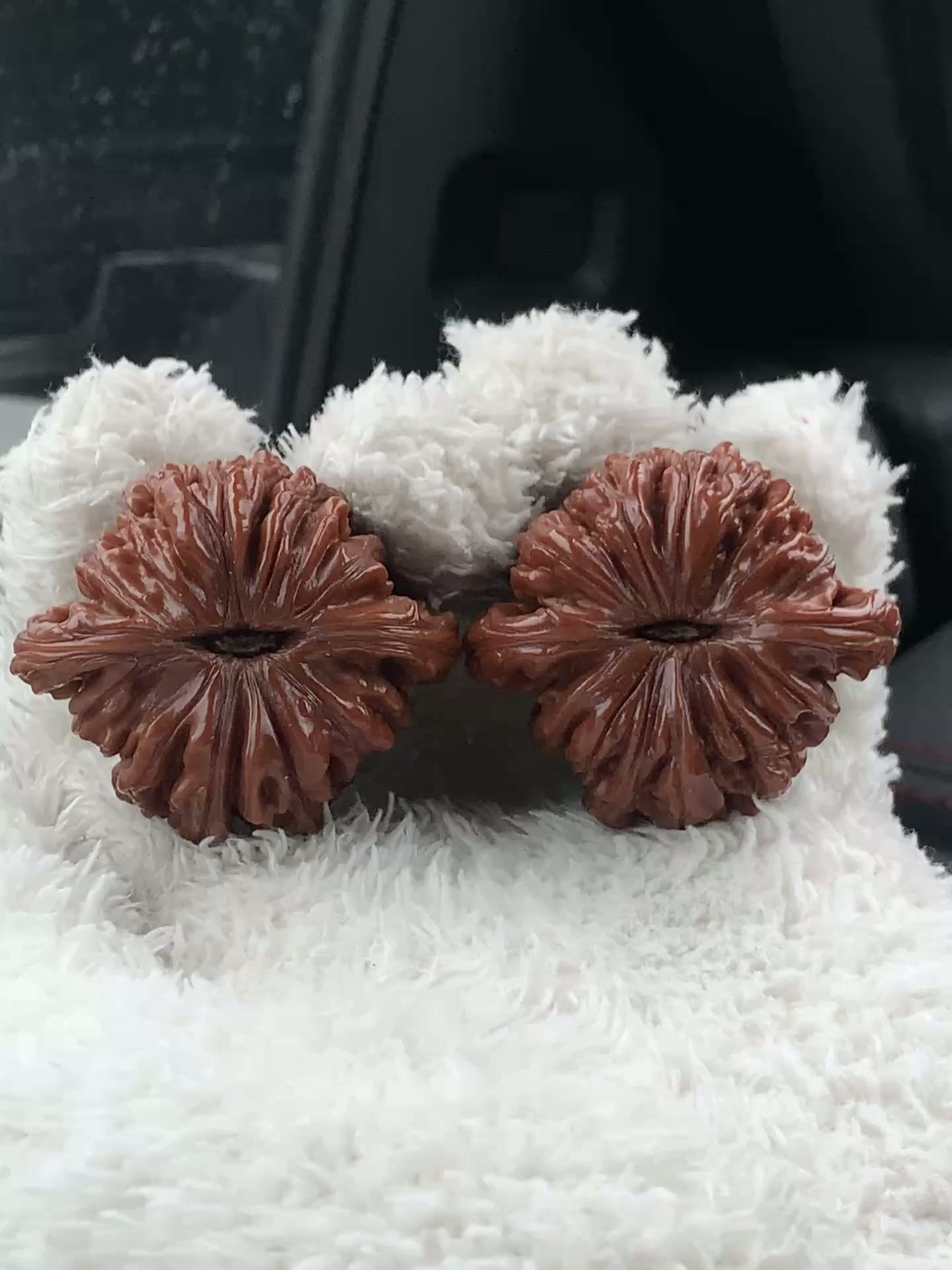 S Grade • Hangaolou Walnuts • 47mm