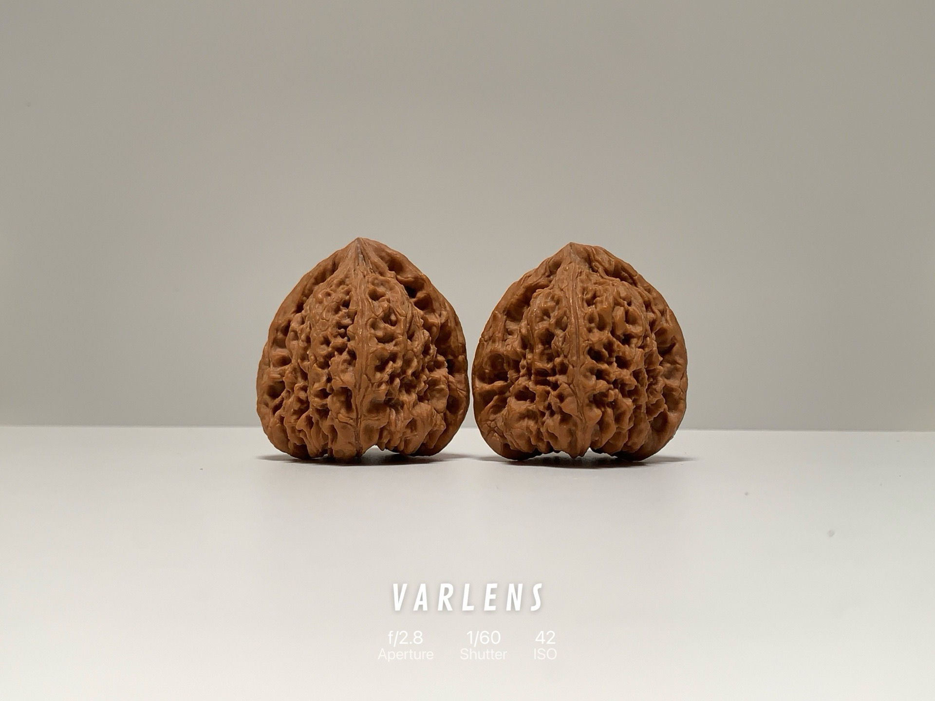 A Grade • Megalith Walnuts • 41mm