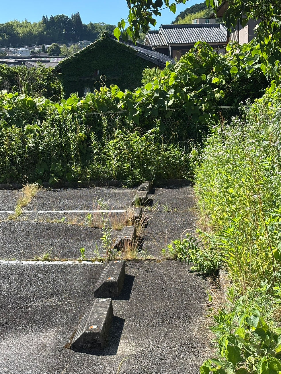 除草作業