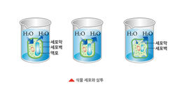 과학일러스트 50종_작업중200716_대지 1 사본 24