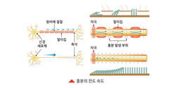 과학일러스트 50종_작업중200716_대지 1 사본 43