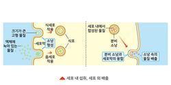 과학일러스트 50종_작업중200716_대지 1 사본 28