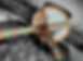 Photoroom-20240816_182857.png