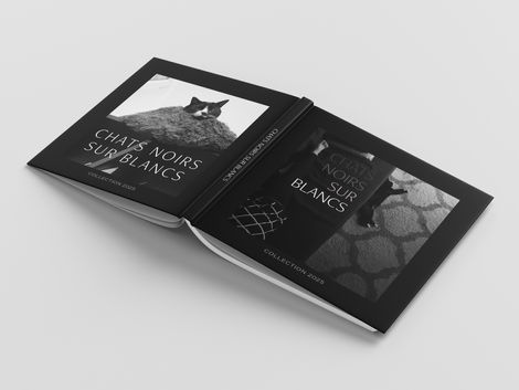 Couverture du livre de photographie Chats Noirs sur Blancs