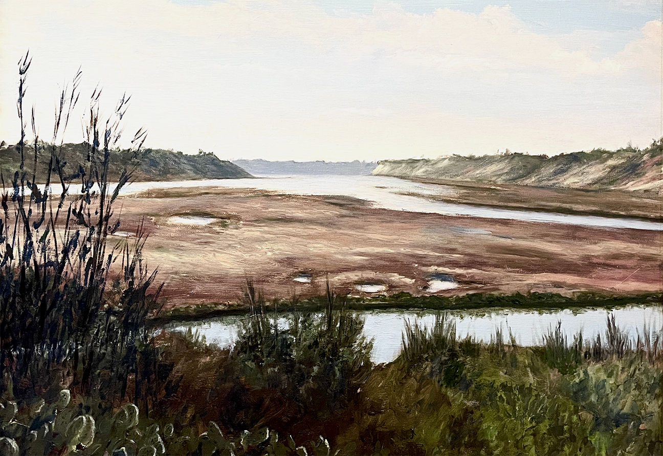 Newport Back Bay - Estuary