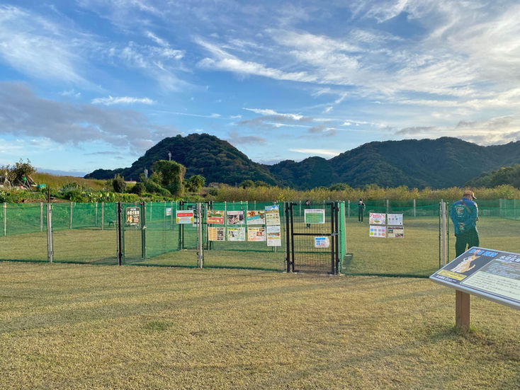 kawanoeki6.jpeg