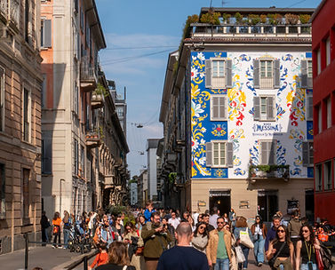 P2022663-Migliorato-NR (3)_edited.jpg