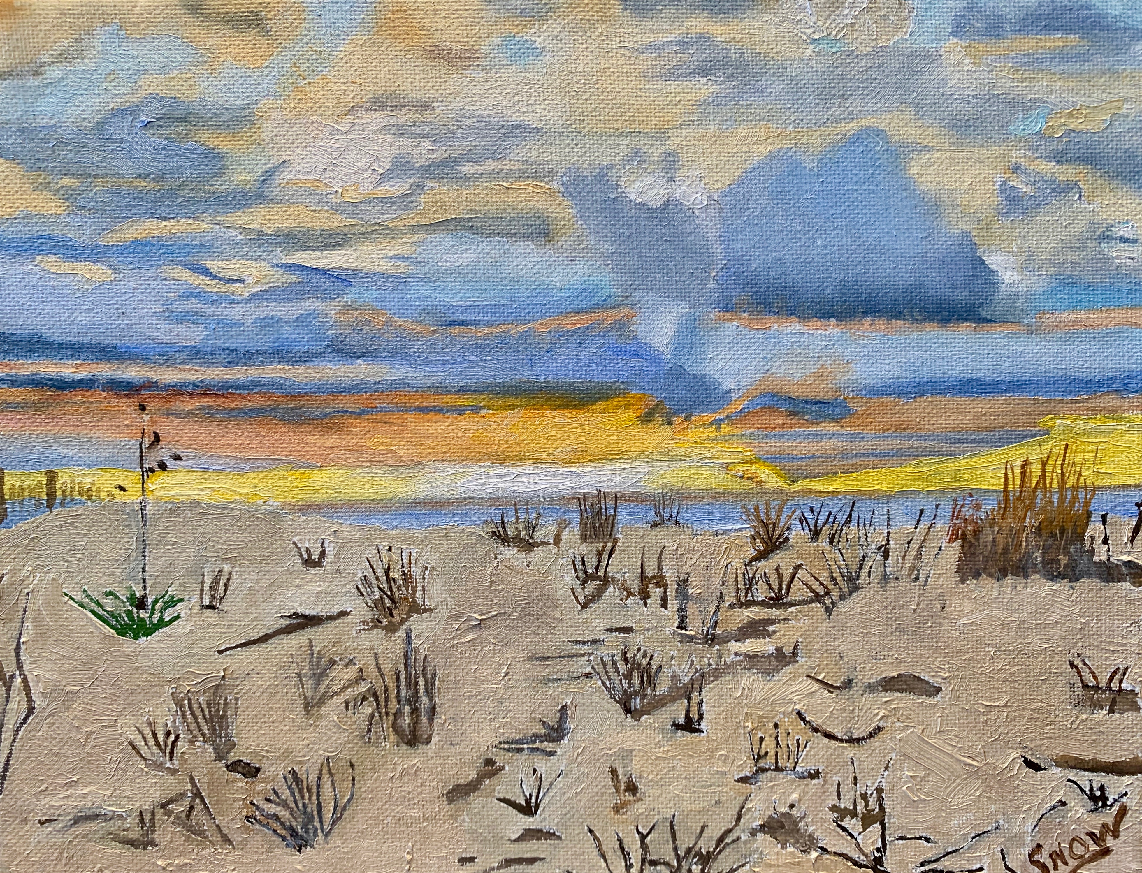 Artist Bill Snow