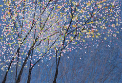 Artist Peter Stolvoort