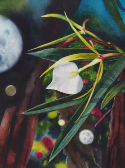 Artist Laura Bethmann