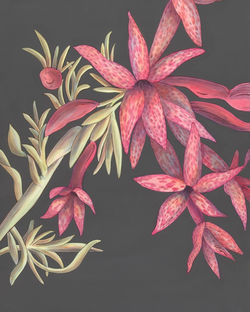 Artist Allison Cosmos