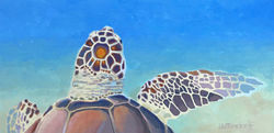 Artist Sharon Waltersdorff