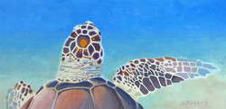 Artist Sharon Waltersdorff