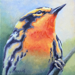 Artist Sharon Waltersdorff