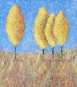 Artist Peter Stolvoort