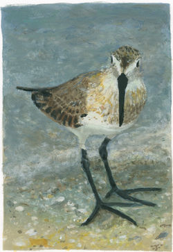 Artist Nancy McIntyre