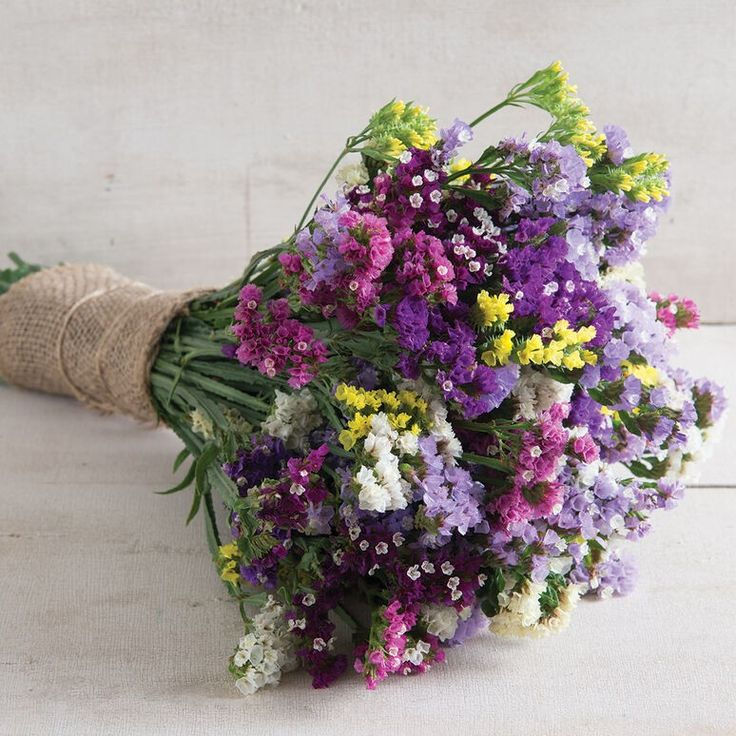 ¿Cómo cuidar las flores secas?