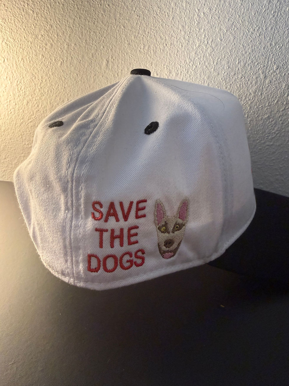 Thumbnail: Kap Foundation Snapback