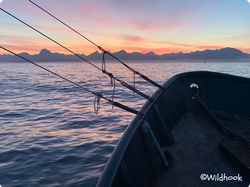 imageonline-co-watermarkedimage (30)