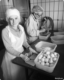 imageonline-co-watermarkedimage (42)