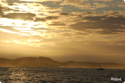 imageonline-co-watermarkedimage (49)