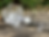 Thumbnail: Founding kit