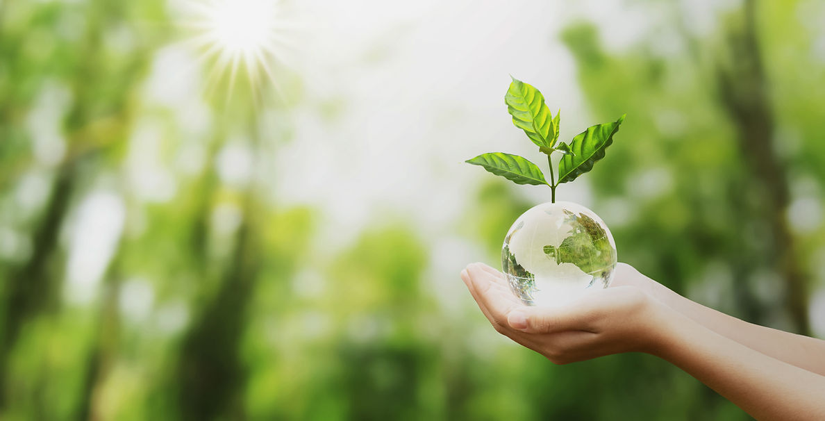 hand-holding-glass-globe-ball-with-tree-growing-green-nature-blur-background.jpg