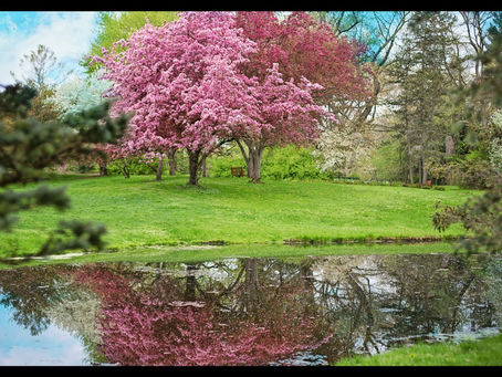 Dance with Joy: The Ninth Step in Becoming