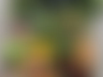 Fresh from Wellspring Charitable Gardens - June 6, 2024