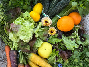 Fresh from Wellspring Charitable Gardens - February 26, 2026