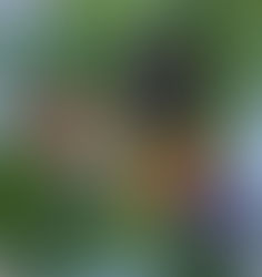 Fresh from Wellspring Charitable Gardens - January 8, 2026