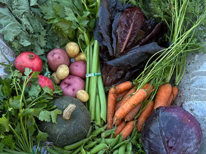 Fresh from Wellspring Charitable Gardens - January 8, 2026