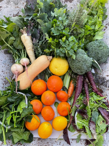 Fresh from Wellspring Charitable Gardens - January 30, 2025