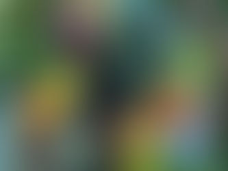 Fresh from Wellspring Charitable Gardens - March 6, 2026  