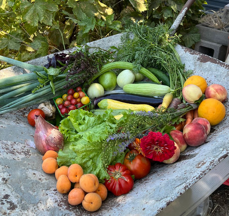 Fresh from Wellspring Charitable Gardens - July 10, 2025