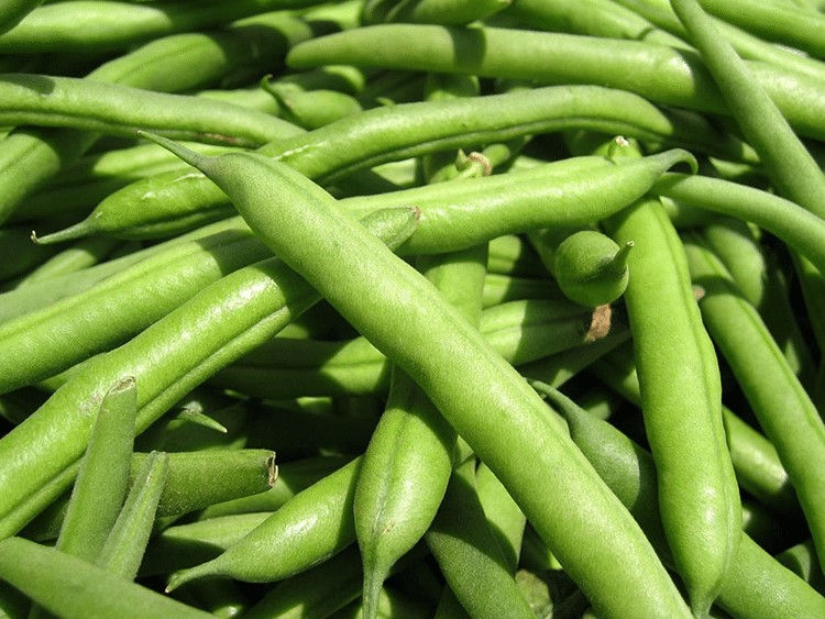 ree