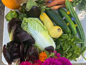 Fresh from Wellspring Charitable Gardens - October 15, 2026