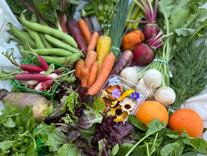 Fresh from Wellspring Charitable Gardens - April 2, 2026