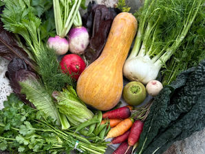 Fresh Pre-Christmas Produce from Wellspring Charitable Gardens - December 18, 2025