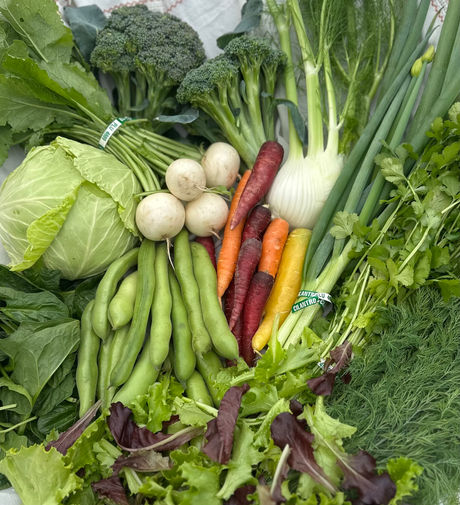 Fresh from Wellspring Charitable Gardens - April 9, 2026