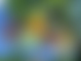 Fresh from Wellspring Charitable Gardens - March 12, 2026