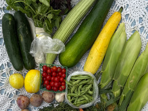 Fresh from Wellspring Charitable Gardens - August 27, 2026