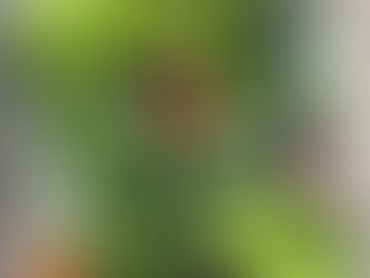 From the Garden this Week, November 4, 2021...