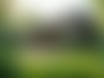 Smart Construction & Sustainable Buildings